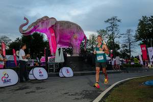 BIB: 
                            <button type="button" onclick="openModal(26529496)" class="btn btn-primary btn-sm float-right btn-popup" data-toggle="modal" data-target=".modal-high-quality">
                        <i class="fas fa-shopping-cart"></i> Add to Cart
                    </button>
                                            <button type="button" onclick="isThisMe(26529496, true)" class="btn btn-success btn-sm float-right btn-popup btn-isme hidden" data-toggle="tooltip" data-placement="bottom" title="นี่คือรูปของคุณใช่ไหม คลิกที่นี่เพื่อเอาเข้าอัลบั้ม">
                        <i class="fas fa-plus"></i> Add to album
                    </button>
                    <button type="button" onclick="isThisMe(26529496, false)" class="btn btn-warning btn-sm float-right btn-popup btn-isnotme hidden">
                        <i class="fas fa-ban"></i> Remove from album
                    </button>